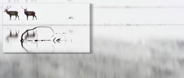 AUTORE: MARCO COLOMBO E EDOARDO TETTAMANZI AUTORE: MARCO COLOMBO E EDOARDO TETTAMANZI /