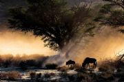 AUTORE: Diana Crestan AUTORE: Diana Crestan /