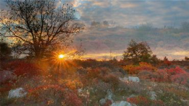 AUTORE: Roberto Gardonio AUTORE: Roberto Gardonio