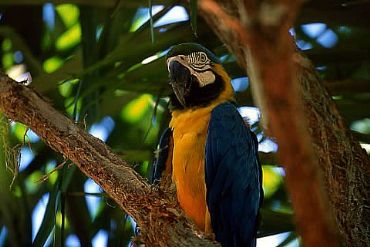 AUTORE: 360° Multivisioni AUTORE: 360° Multivisioni /