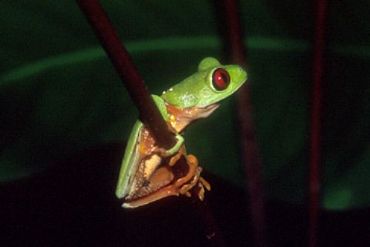 AUTORE: 360° Multivisioni AUTORE: 360° Multivisioni /