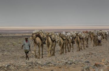 AUTORE: Merlino Multivisioni AUTORE: Merlino Multivisioni /